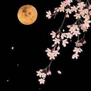 flower moon